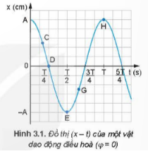 Xác định độ dốc của đồ thị tại các điểm C, D, E, G, H bằng cách đặt một thước kẻ (loại 20 cm) cho mép của thước tiếp xúc với đồ thị li độ - thời gian tại các điểm C, D, E, G, H (Hình 3.1). Từ độ dốc của thước hãy so sánh độ lớn vận tốc của vật tại các điểm C, E, H.