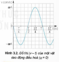 So sánh đồ thị của vận tốc (Hình 3.2) với đồ thị của li độ (Hình 3.1), hãy cho biết vận tốc sớm pha hay trễ pha bao nhiêu so với li độ.