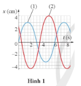 Cho hai vật dao động điều hoà (1) và (2) có đồ thị li độ thời gian như Hình 1.