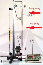 Hãy chỉ ra các nút sóng và các bụng sóng trên các Hình 4.1 và 4.2