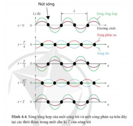  Hãy chỉ ra vị trí các nút sóng trên Hình 4.4. Xác định khoảng cách giữa hai nút sóng liên tiếp.