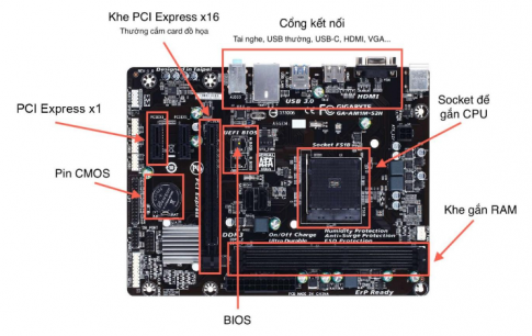 Hãy mở một máy tính để bàn, quan sát bảng mạch chính để biết nơi đặt bộ nguồn, CPU, khe cắm RAM và các thanh RAM, các khe cắm bảng mạch mở rộng và các bảng mạch mở rộng nếu có, các cổng cắm cáp với đĩa cứng.