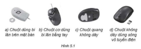 Thiết bị trỏ làm việc trên màn hình đầu tiên có hình dạng giống con chuột nên được gọi là chuột. Thực tế các thiết bị trỏ (pointing device) rất đa dạng. Hãy tìm hiểu các thiết bị loại này.