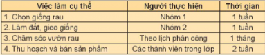 Lựa chọn và xây dựng kế hoạch cho một hoạt động của lớp.