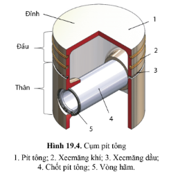 Quan sát hình 19.4 và cho biết cấu tạo của pittong, vai trò của đỉnh, đầu và thân của pittong?