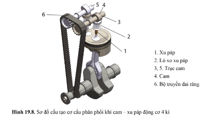 Quan sát hình 19.8 và chỉ ra các bộ phận chính của cơ cấu phân phối khí cam - xu páp động cơ 4 kì?