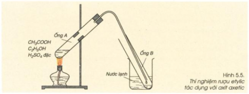Giải bài 49 hóa học 9: Thực hành: Tính chất của rượu và axit