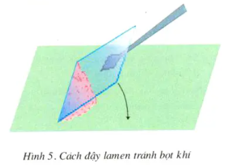 Giải sinh 8 bài 5: Thực hành Quan sát tế bào và mô