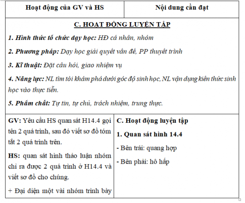 Giáo án VNEN bài Hô hấp ở cây xanh (T2)