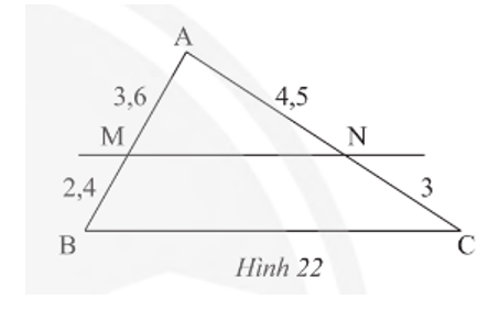 Câu 7. Quan sát Hình 22, chứng minh rằng MN // BC