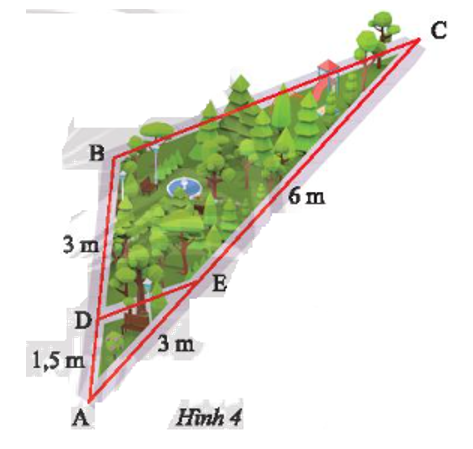  Hãy tìm các đoạn thẳng tỉ lệ trong hình vẽ sơ đồ một góc công viên ở Hình 4.