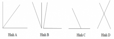 Trắc nghiệm Toán 7 CD bài 1 Góc ở vị trí đặc biệt