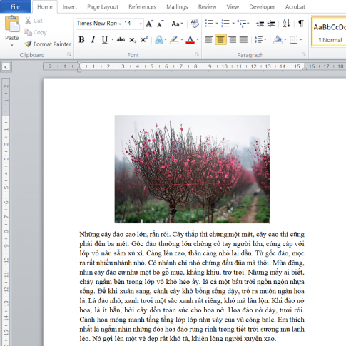 Em hãy cùng bạn chọn một số ảnh phù hợp từ máy tính để chèn vào một tệp văn bản và kéo thả ảnh đến vị trí mong muốn như ở Hình 1