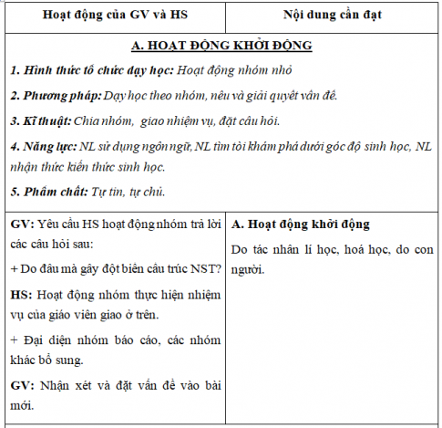 Giáo án VNEN bài: Đột biến cấu trúc nhiễm sắc thể (T3)