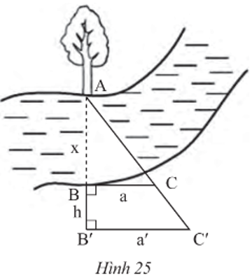  Quan sát Hình 25 và chứng minh x=aha′−a 