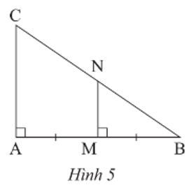 Câu 3: Trong Hình 5, chứng minh MN là đường trung bình của tam giác ABC 