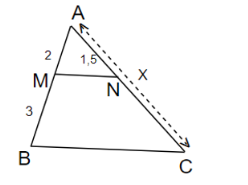 Trắc nghiệm Toán 8 học kì II (P1)