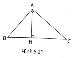 Giải câu 1 trang 88 sách phát triển năng lực toán 9 tập 1