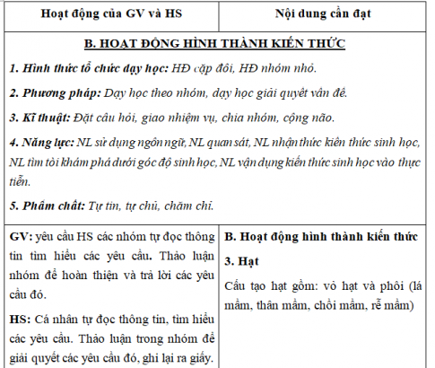 Giáo án VNEN bài Cơ quan sinh sản của cây xanh (T2)