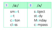 [Kết nối tri thức và cuộc sống] Tiếng Anh 6 unit 1: A closer look 1