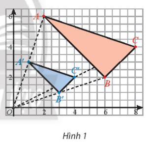 Trong Hình 1, cho biết A', B', C' lần lượt là trung điểm của OA, OB, OC. 