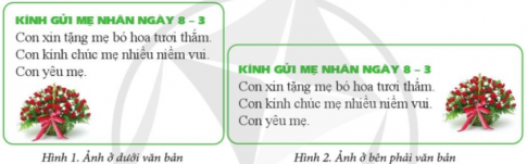 Hình 1 minh họa ảnh được chèn ở bên dưới văn bản