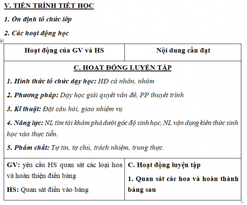 Giáo án VNEN bài Cơ quan sinh sản của cây xanh (T3)