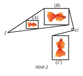 Tìm phép đồng dạng biến hình (A) thành hình (C).