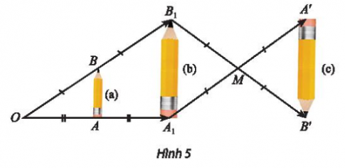 Tìm các cặp hình đồng dạng với nhau có trong Hình 5.