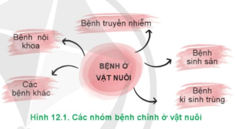 Hãy kể tên một số bệnh ở vật nuôi thuộc mỗi nhóm bệnh chính trong Hình 12.1