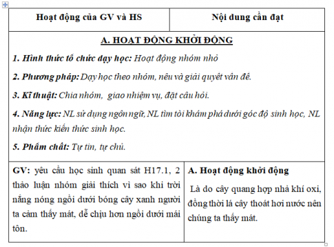 Giáo án VNEN bài Vai trò của cây xanh (T1)