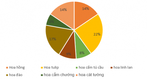 Trắc nghiệm Toán 7 chân trời bài tập cuối chương 5 (P2)