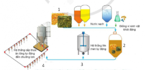 Trắc nghiệm Công nghệ chăn nuôi 11 cánh diều bài 11 Ứng dụng công nghệ cao trong chế biến và bảo quản thức ăn chăn nuôi