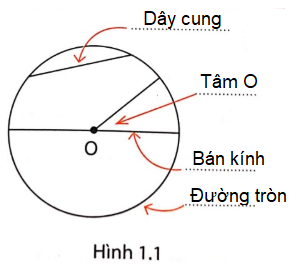 Giải phát triển năng lực toán 9 bài 1: Sự xác định đường tròn. Tính chất đối xứng của đường tròn