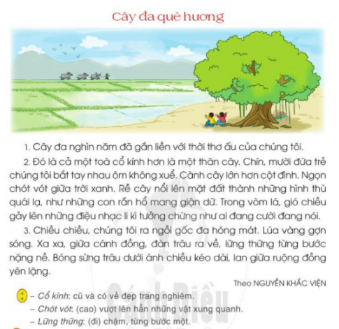  Ôn tập giữa học kì II