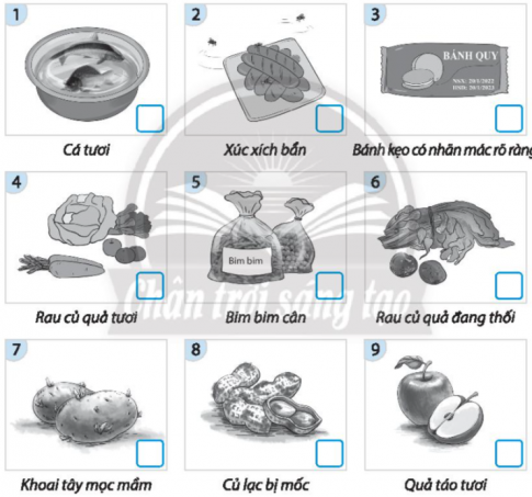 Tô màu xanh vào  dưới những tranh thể hiện thực phẩm có thể sử dụng và tô màu đỏ vào  dưới những bức tranh thể hiện thực phẩm không nên sử dụng