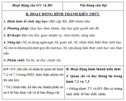 Giáo án VNEN bài Tế bào - Đơn vị cơ bản của sự sống (T2)