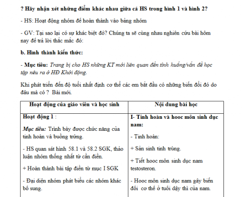 Giáo án PTNL bài 58: Tuyến sinh dục