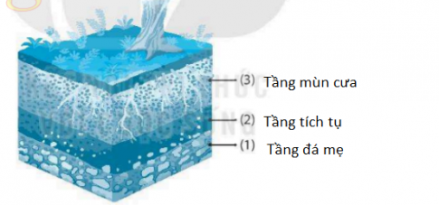 [KNTT] Giải SBT lịch sử và địa lí 6 bài: Lớp đất trên Trái Đất