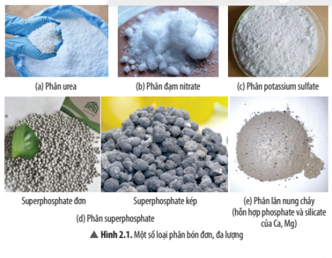 Hãy viết công thức hóa học của các hợp chất là thành phần chính của một số loại phân bón có trong hình 2.1 và hình 2.2 cho biết các loại phân bón này cung cấp nguyên tố dinh dưỡng nào cho cây trồng.