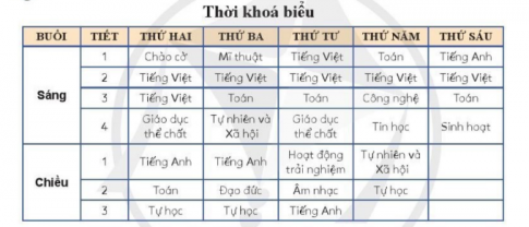 Thông tin trong thời khóa biểu là dạng gì?