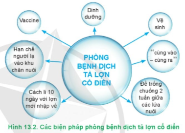 Hãy phân tích ý nghĩa của các biện pháp phòng bệnh dịch tả lợn cổ điển trong hình 13.2