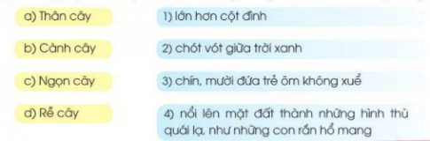  Ôn tập giữa học kì II