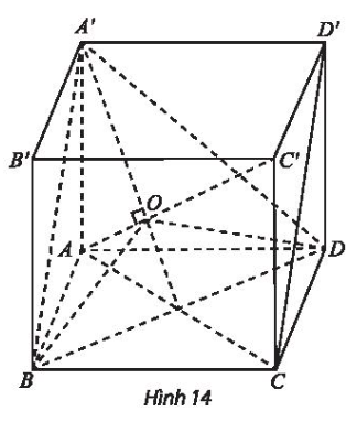 Cho hình lập phương ABCD.A'B'C'D' có cạnh bằng đơn vị (Hình 14).