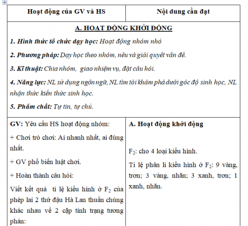 Giáo án VNEN bài: Di truyền học Menđen - Lai hai cặp tính trạng (T3)