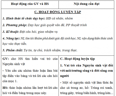 Giáo án VNEN bài Nguyên sinh vật (T2)