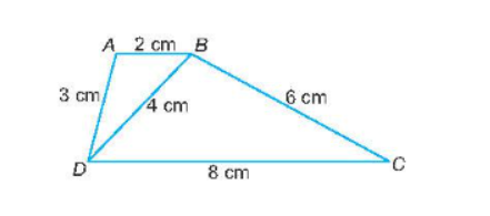 Cho tứ giác ABCD với AB = 2 cm, AD= 3 cm, BD = 4 cm, BC = 6 cm, CD=8 cm. Chứng minh rằng $\Delta ABD \backsim \Delta BDC$ và AB song song với CD.