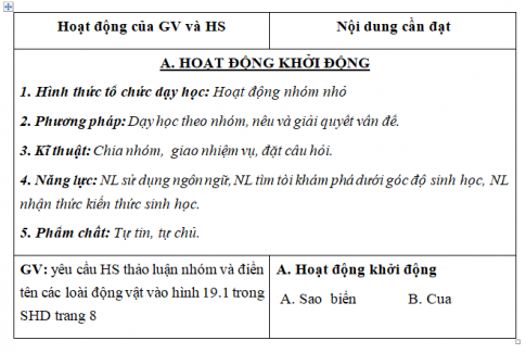 Giáo án VNEN bài Động vật không xương sống (T1)