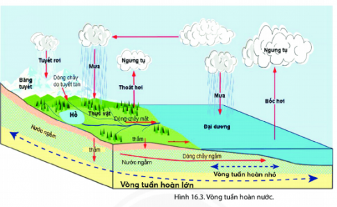 [Chân trời sáng tạo] Giải địa lí 6 bài 16