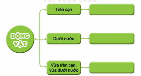  Động vật sống ở đâu?